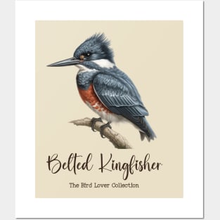 Belted Kingfisher - The Bird Lover Collection Posters and Art